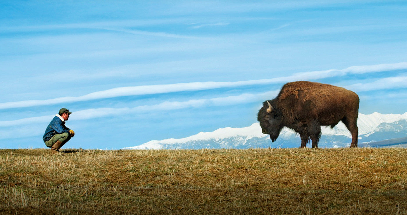 Grass Fed Grass Finished Bison Meat
